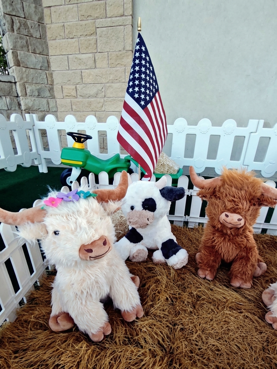 Texas Ranch activity setup