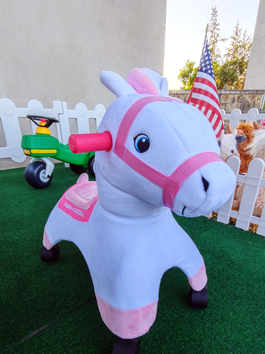 Texas Ranch toys and props